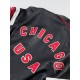 Avirex Chi Town Icon Leather Jacket