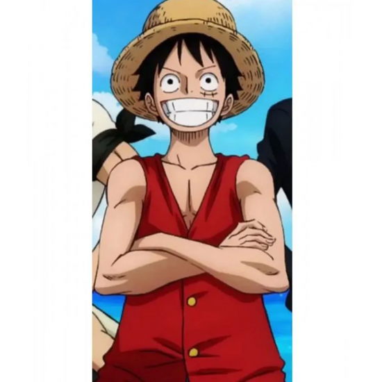 Monkey D. Luffy Anime Red Vest