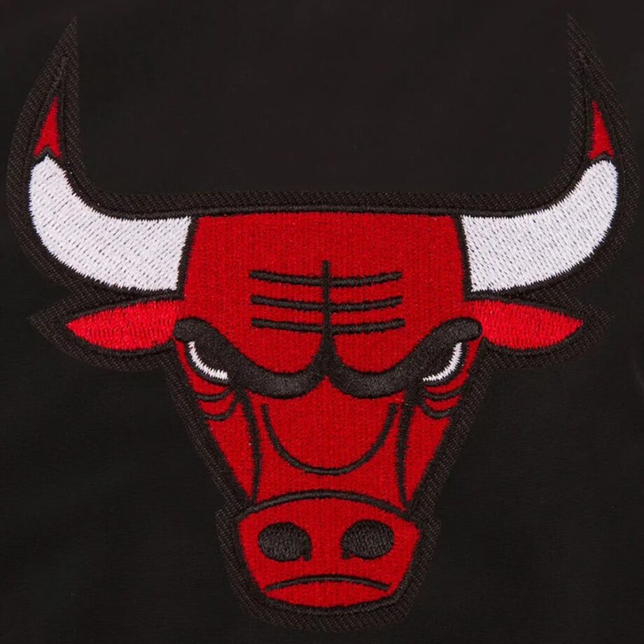 Chicago Bulls Vintage Nylon Bomber Jacket