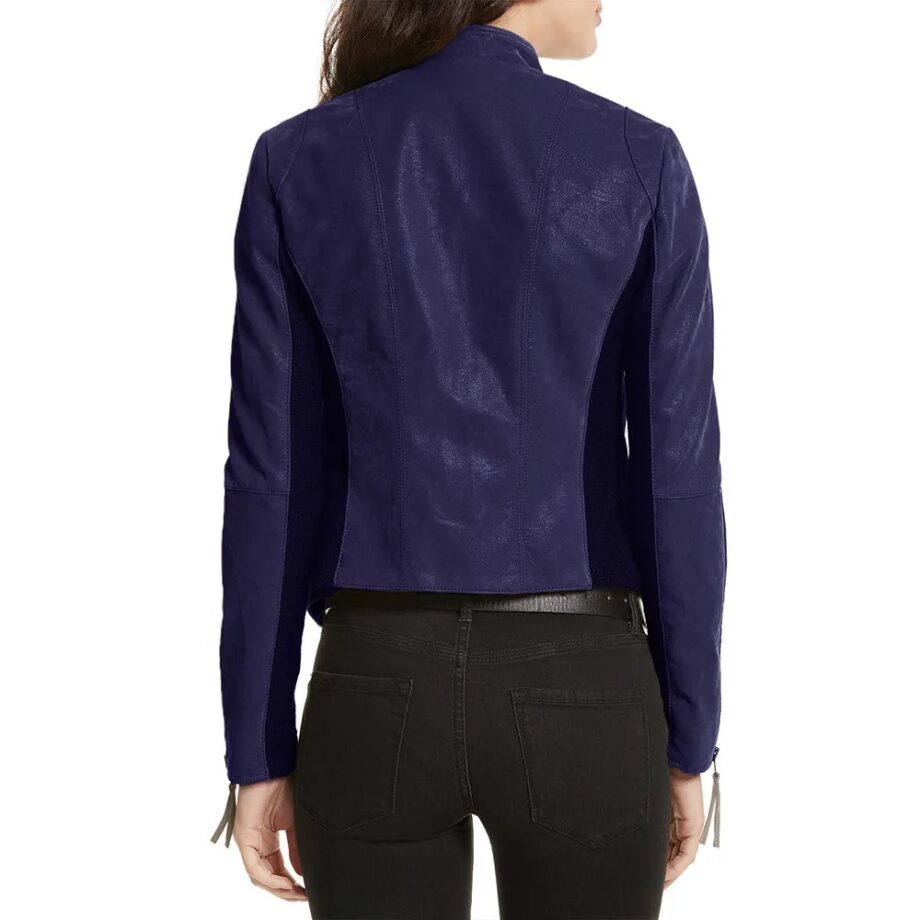 The Flash S03 Danielle Panabaker Leather Jacket
